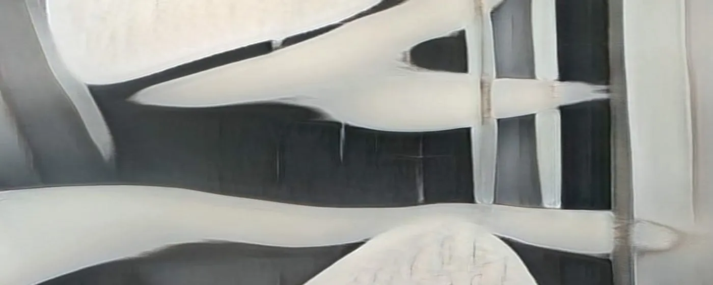 Claudia Larcher: Spaces in Motion