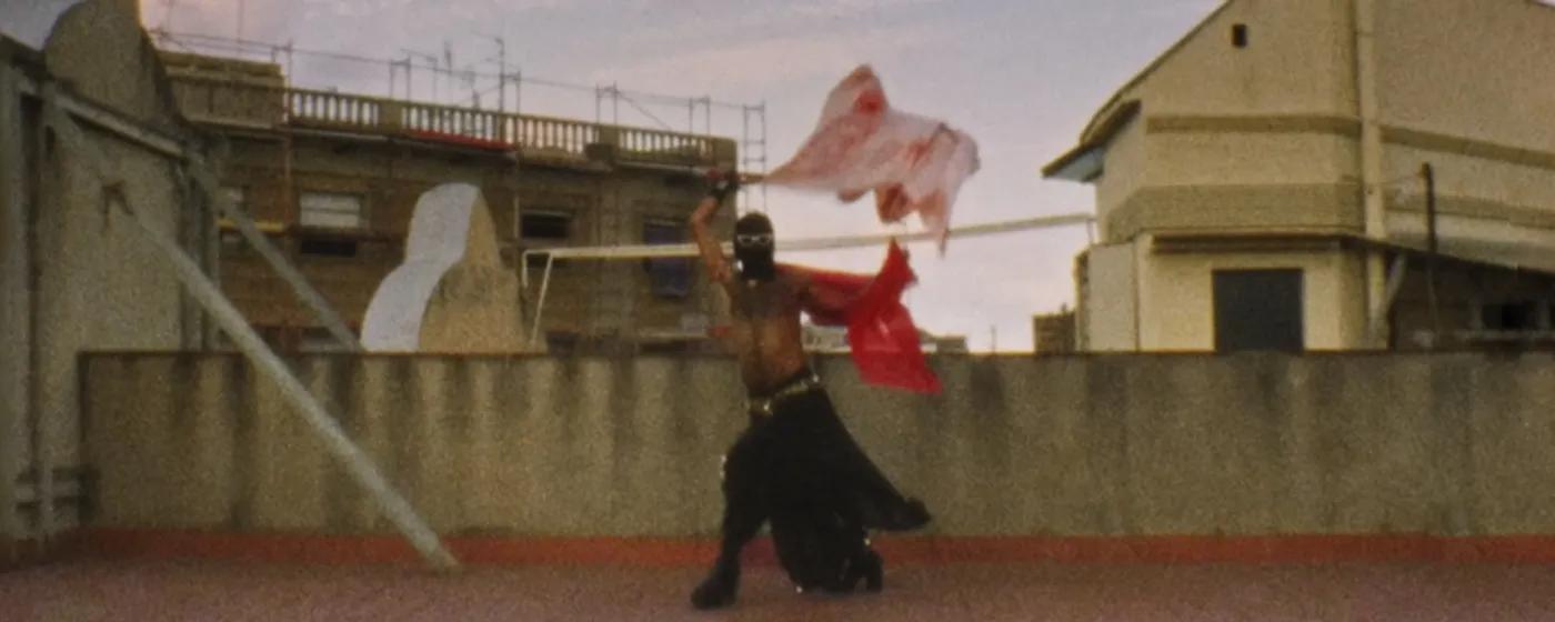 Dance Film: Horizontality and Embodiment