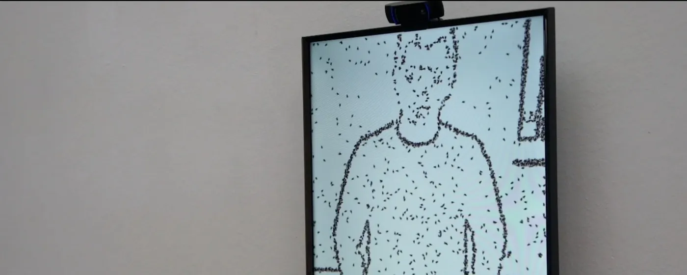 Christa Sommerer & Laurent Mignonneau: Pioneers of Interactive Art