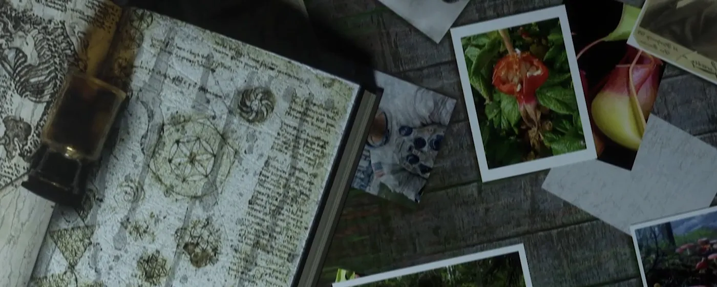 When the World Listens Back