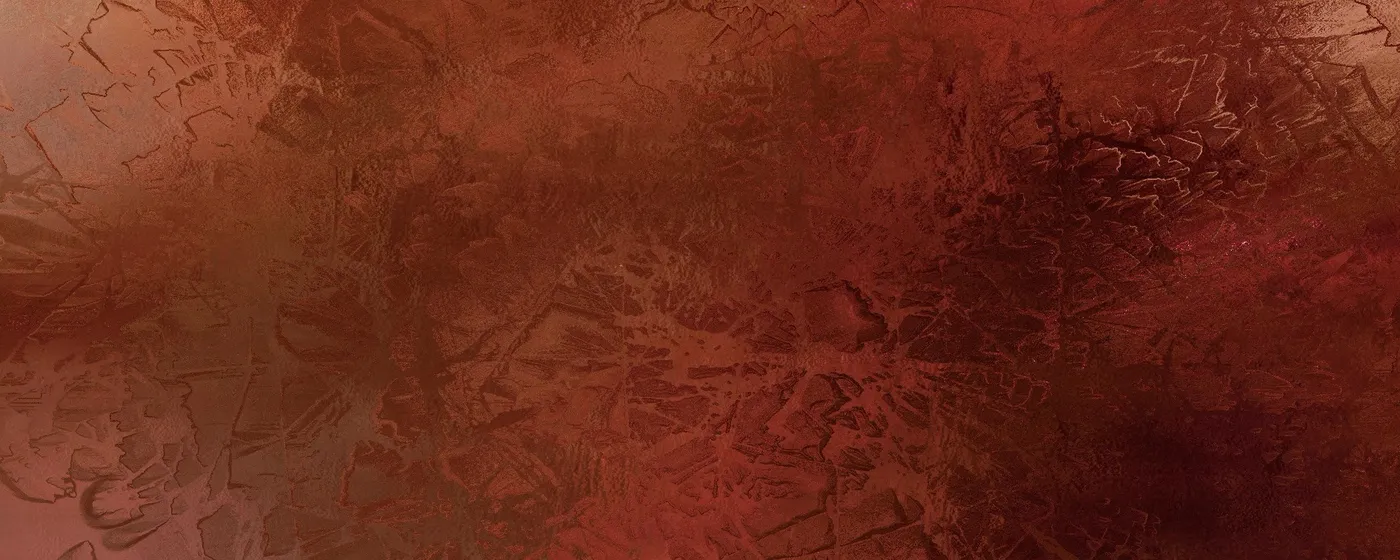 The Hidden Journal of Miss Entropy