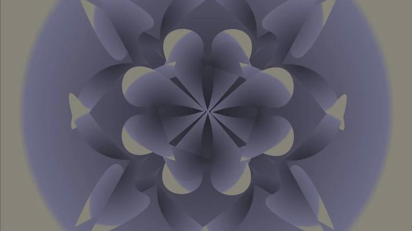 Solidarity by Soukeyna Fall