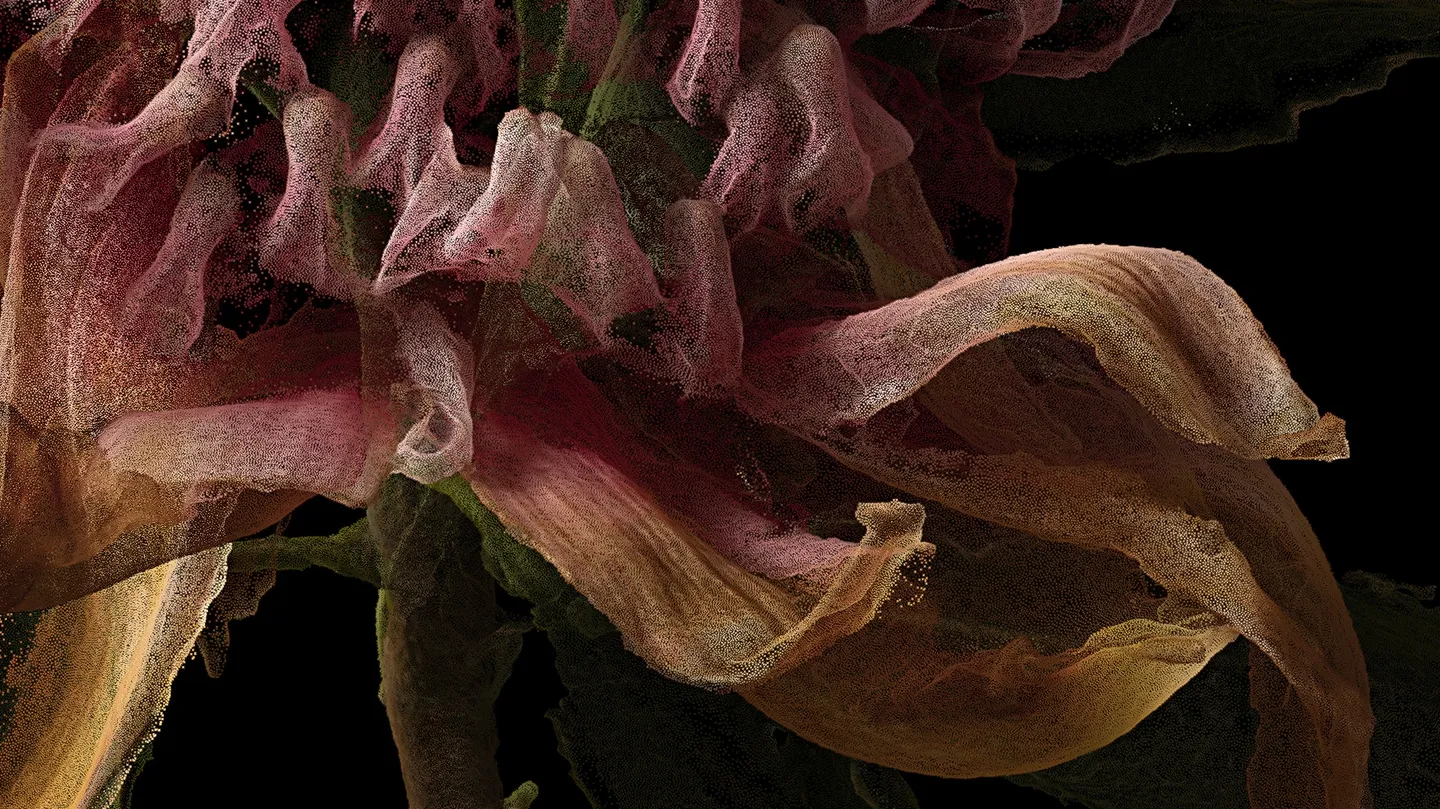 vegetal/digital by Alison Bennett