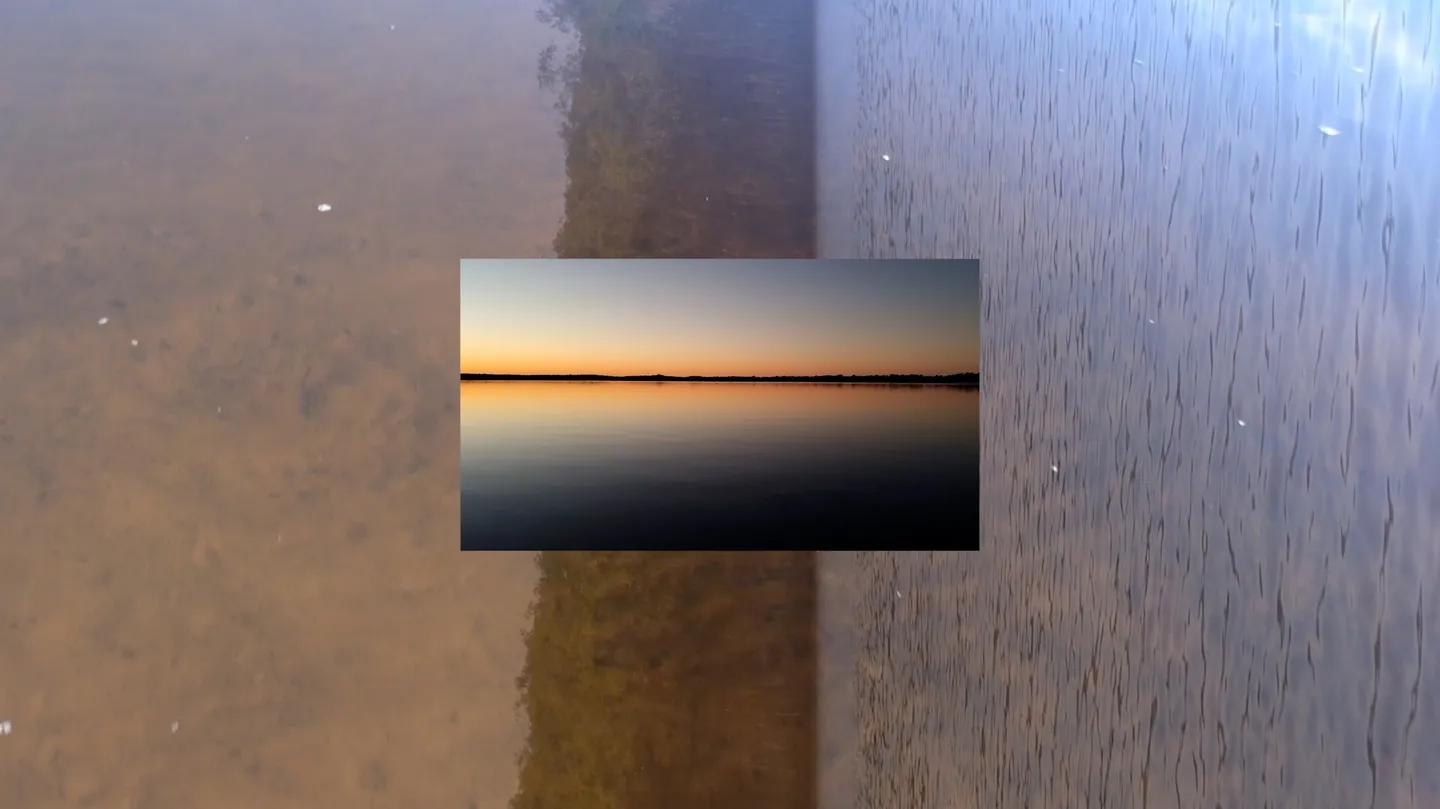 Transcapology by Bianca Tainsh