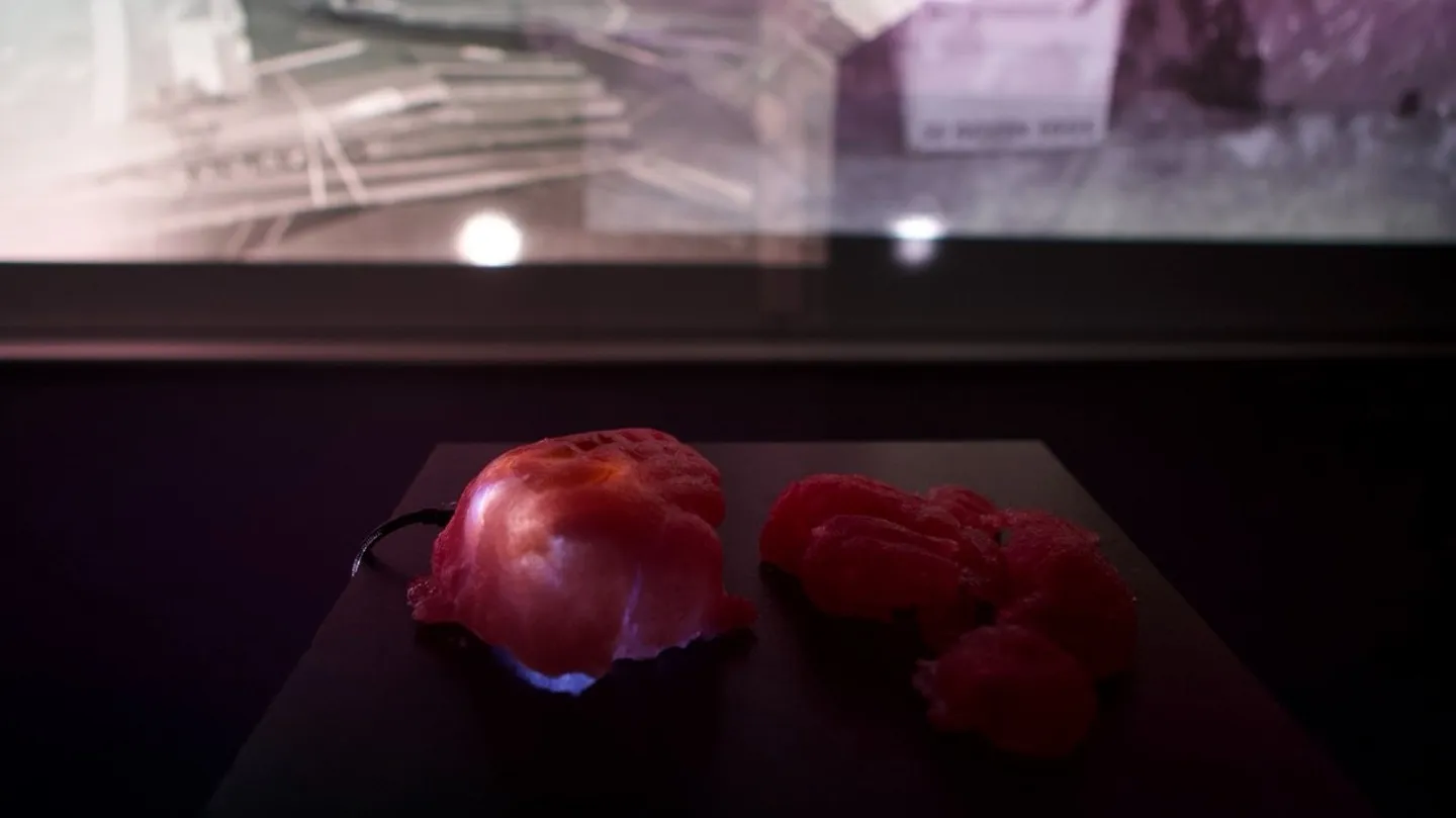 The Plastic Brain by SENAIDA | Winner of the CIFRA Award 2025