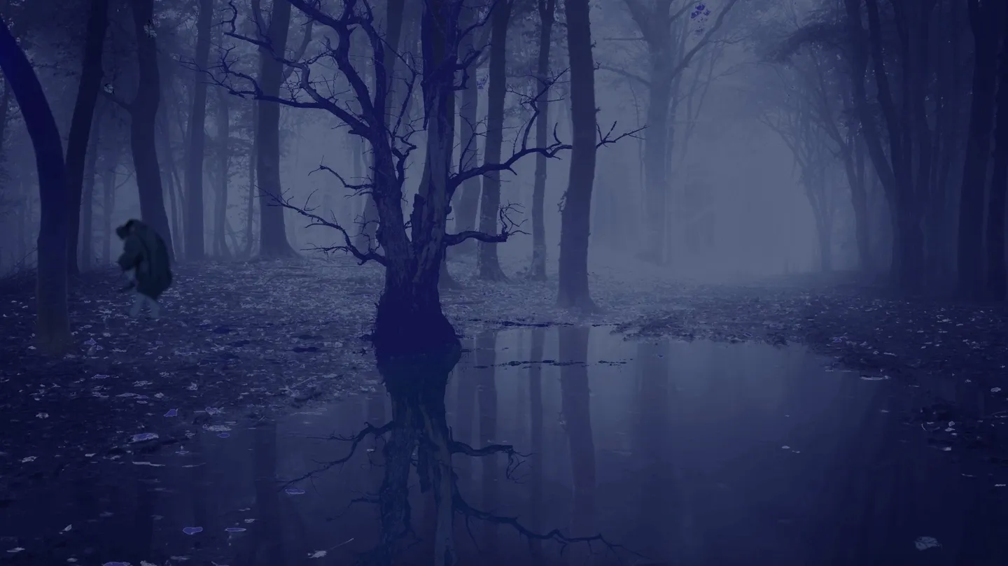 How Far by Ranbir Kaleka