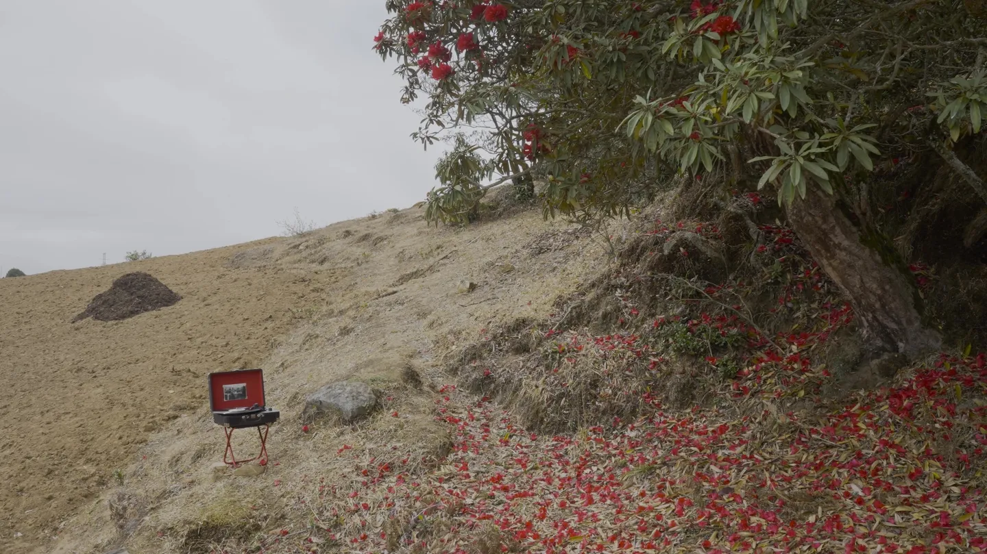 Mucica Proibita by Cheng Xinhao