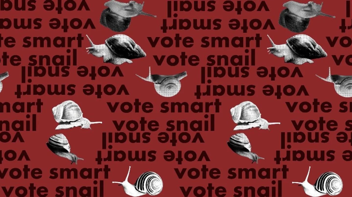 Vote Vote Vote by Kaya McNamara