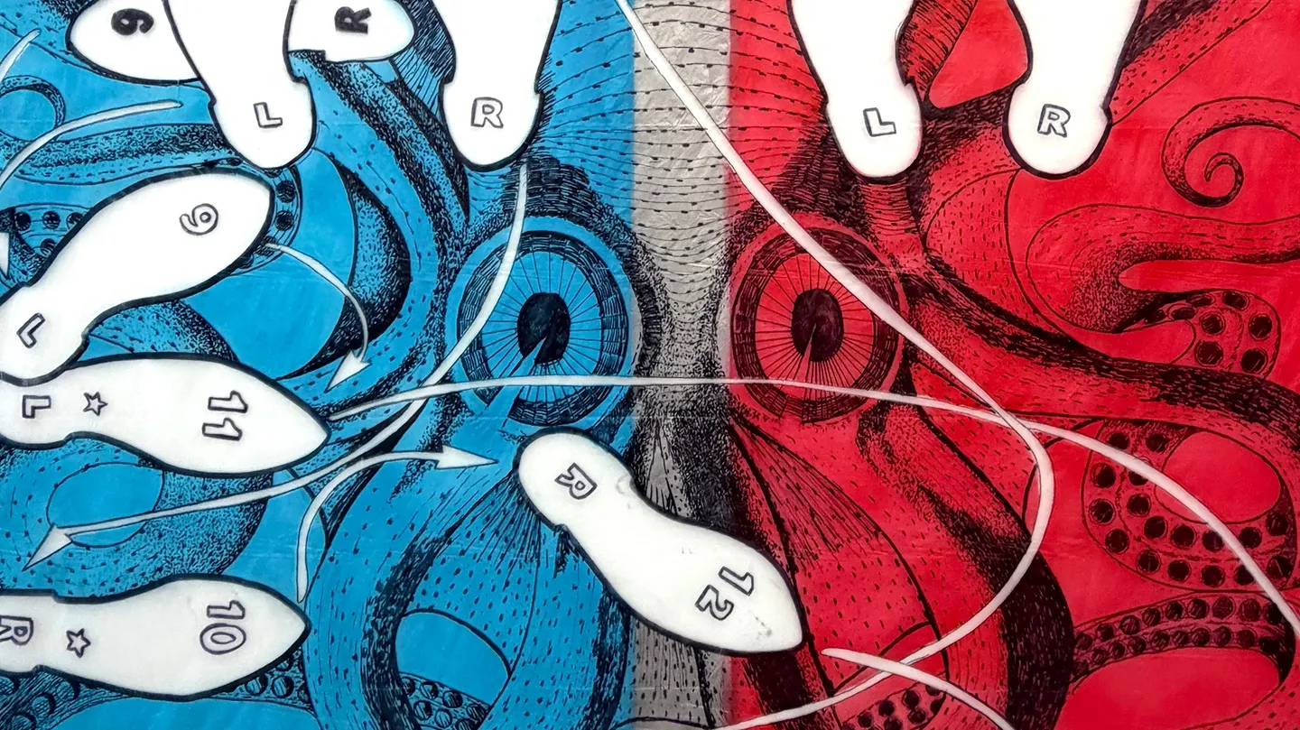 The Dance Steps of the Waltz, an Enlightenment Octopus, and the Colors of Bowie's Lightning Bolt by Ron Laboray