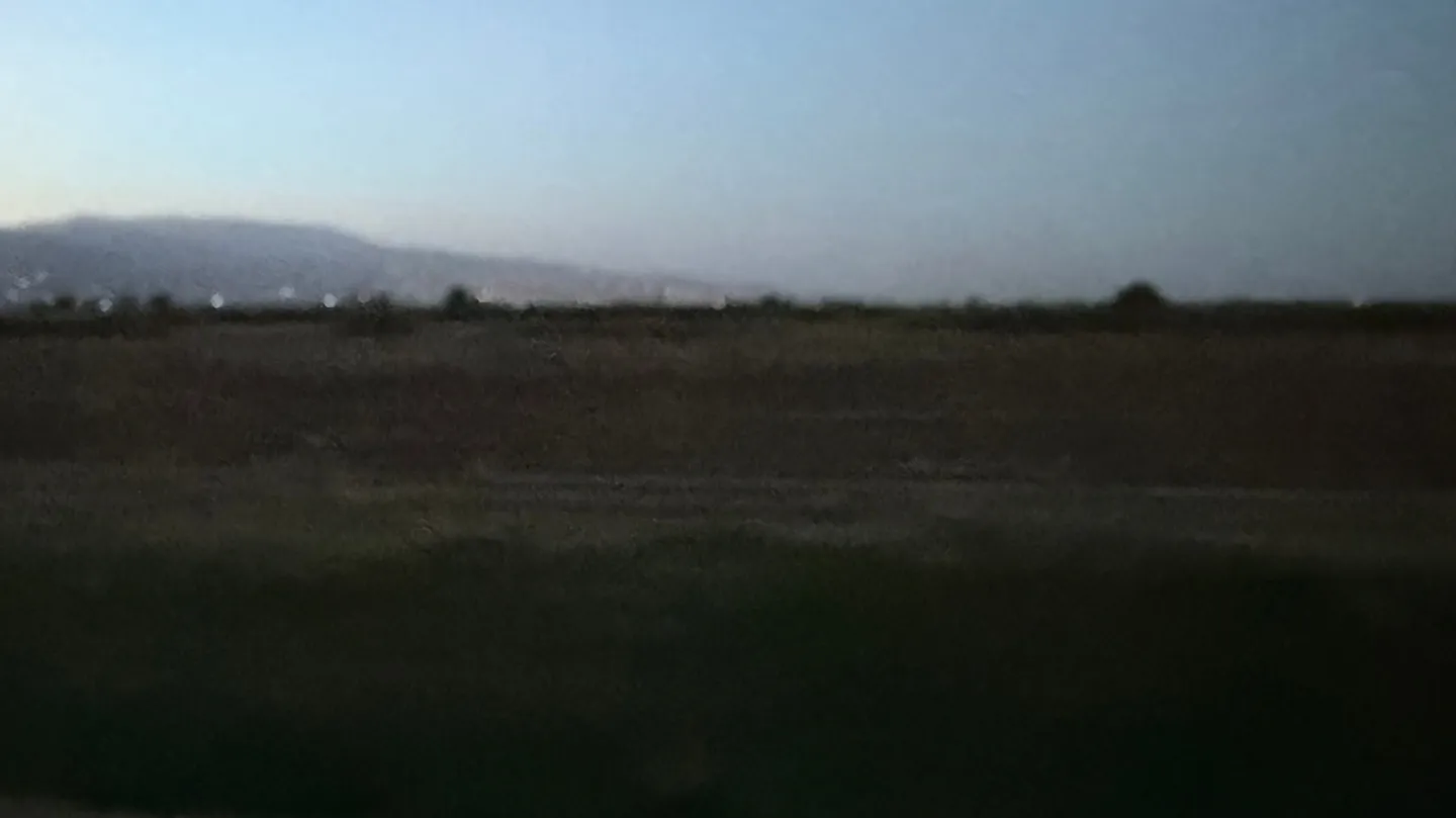 Tender Grounds by Cynthia Zaven