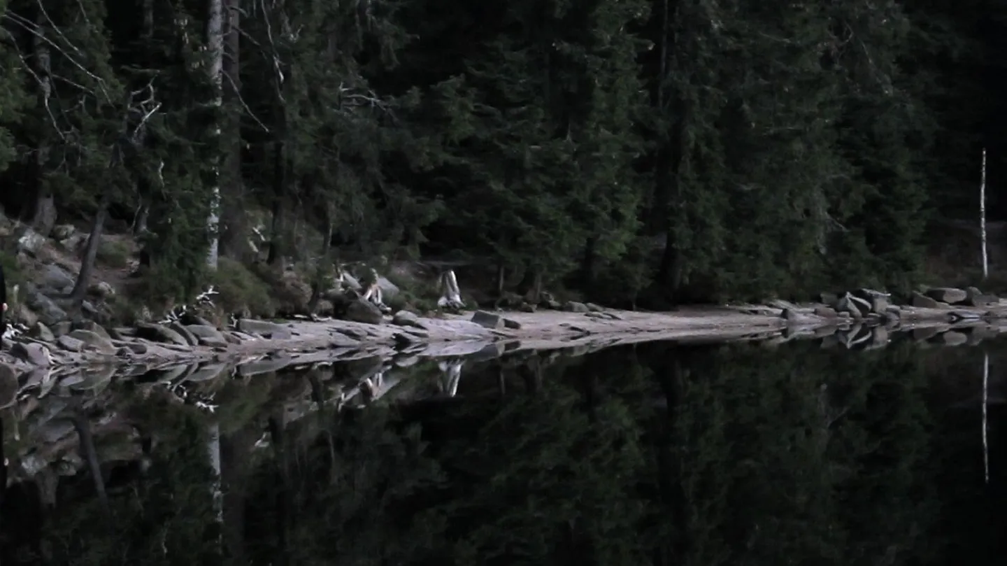 Paradise Falls 1 by Kate McMillan