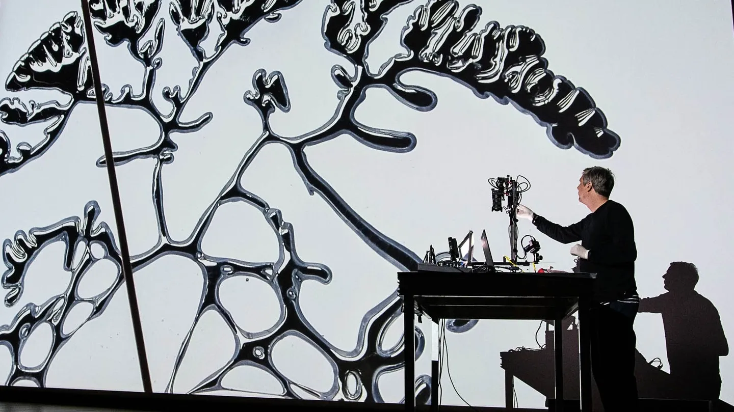 A Natural History of Networks/Softmachine by Ralf Baecker