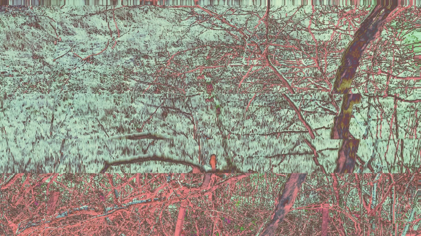 Forestry Scene by Devils-in-the-details