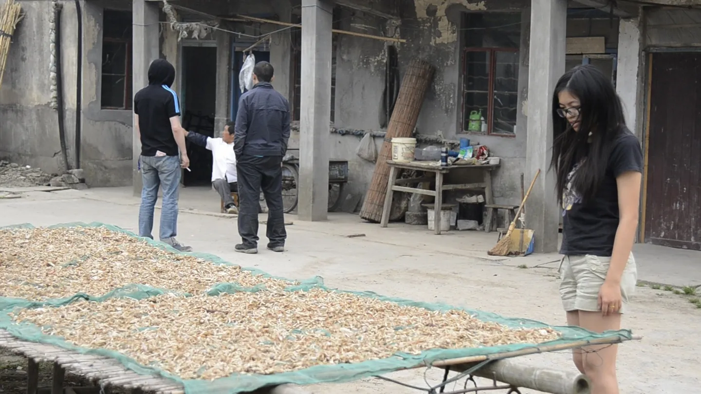 老王小范种菜去 Wang Sir & Young Fan go Farming by YUE LIANG