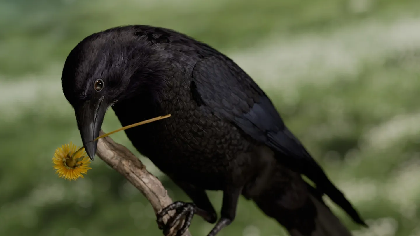 Bird Watching (vertical 9:16 installation format) by Timothy Thomasson