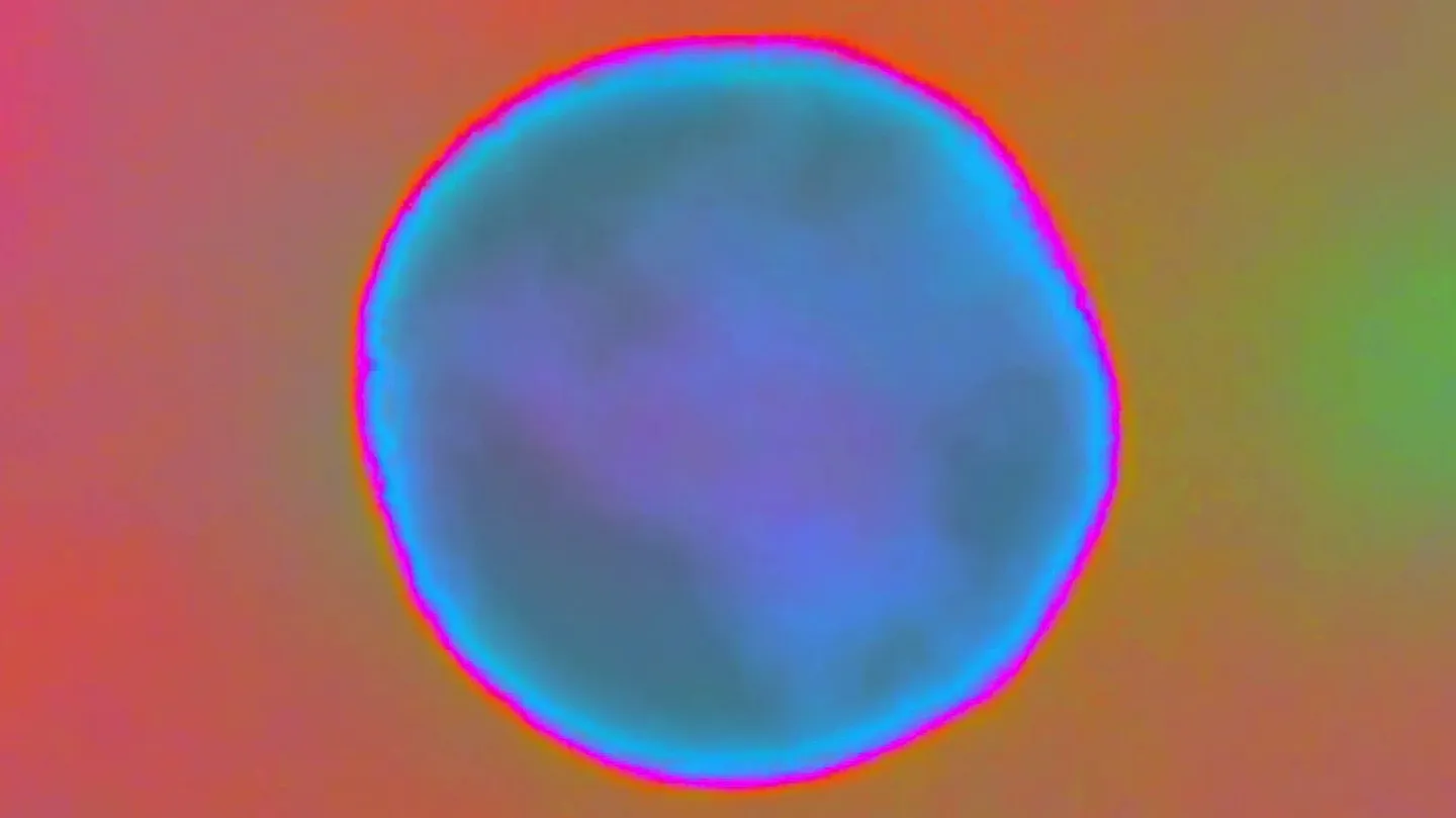 Orbs + Deep Pink by Linda Loh