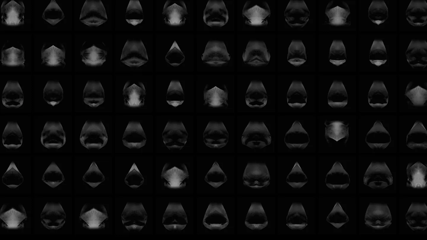 In-visible Biometrics: Morphologies of the Ambiguous (Morphological Study Grid No. 1) by arnaldo drés gonzález