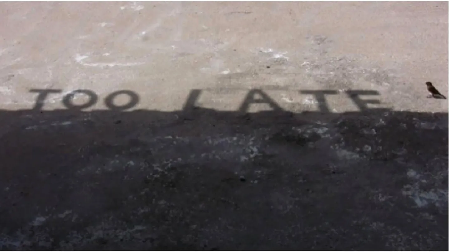 Too Late by Driant Zeneli