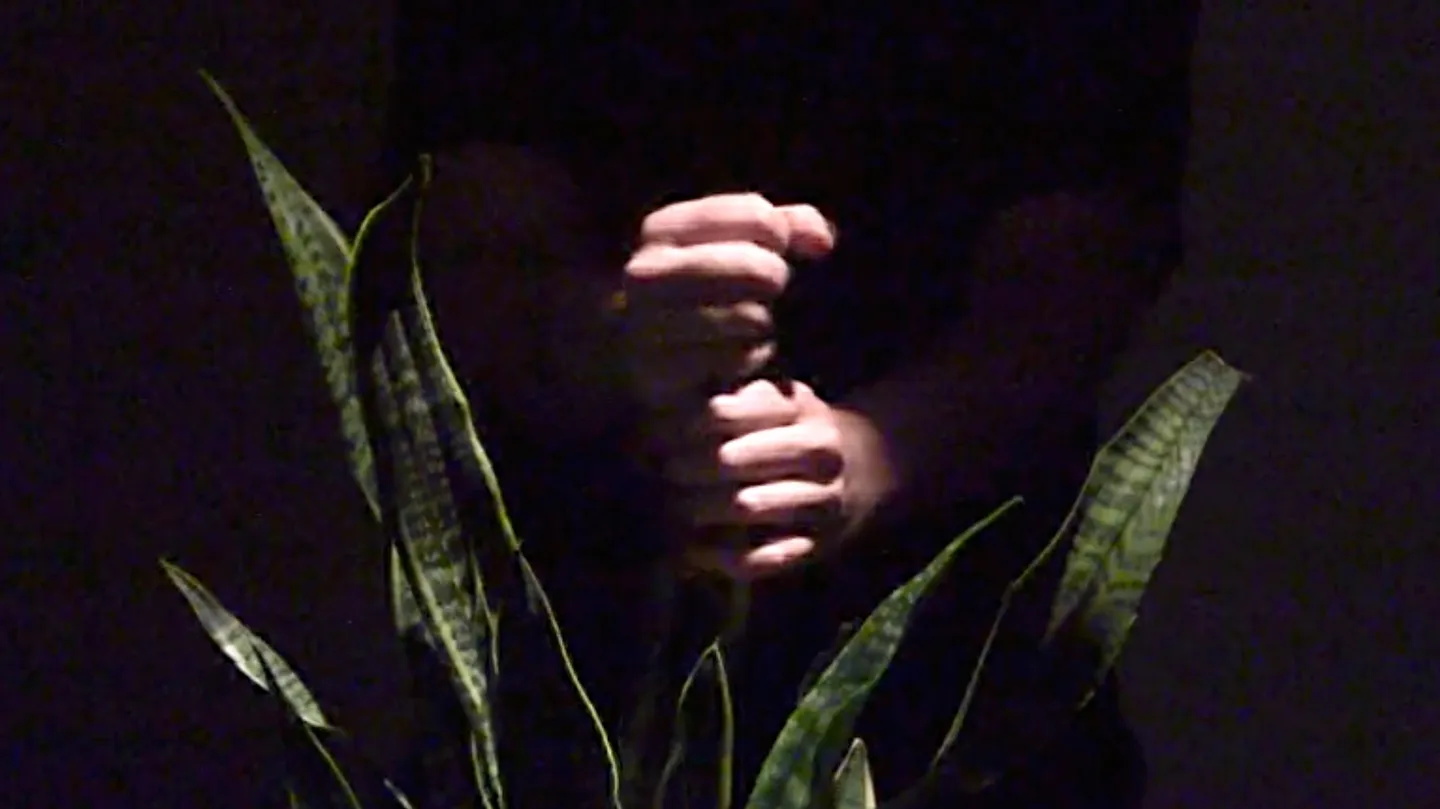 Plant Pokings by Meghan Moe Beitiks