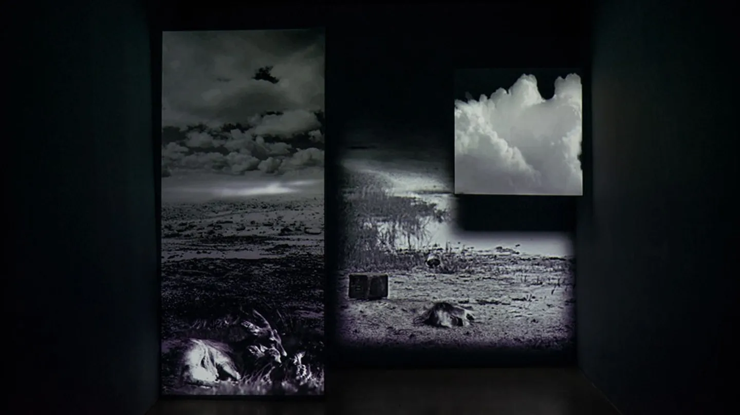 Not Anonymous — Waking to the Fear of a New Dawn by Ranbir Kaleka