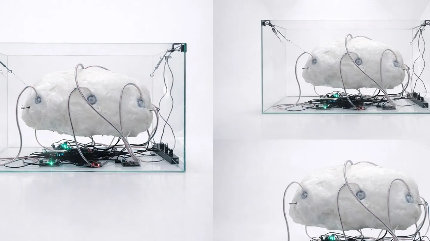 Sus<caul>Pend  "Whose body is this? Whose life is being lived?" by Shinji Wakasa