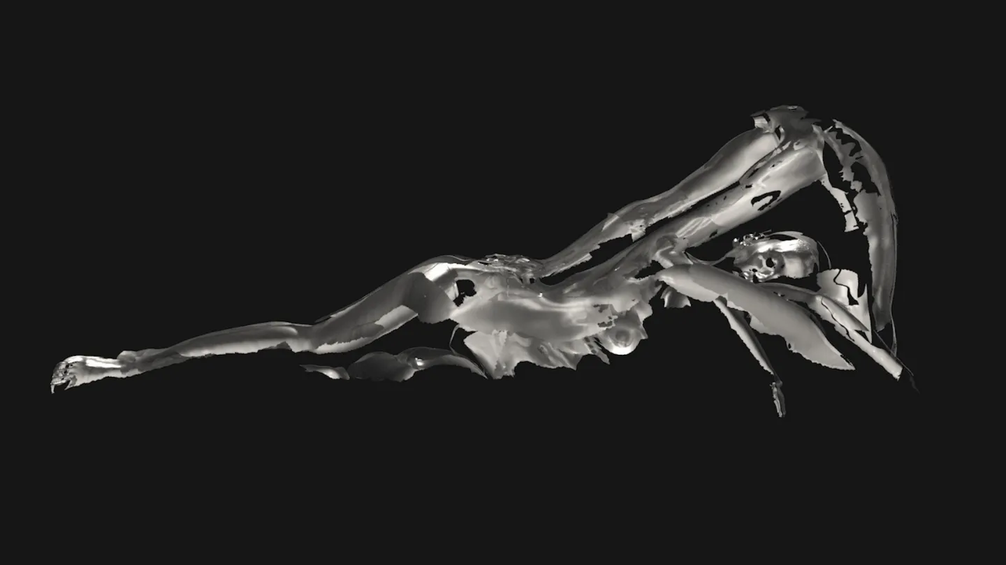 The Divers V (right ortho) by Sophie Kahn