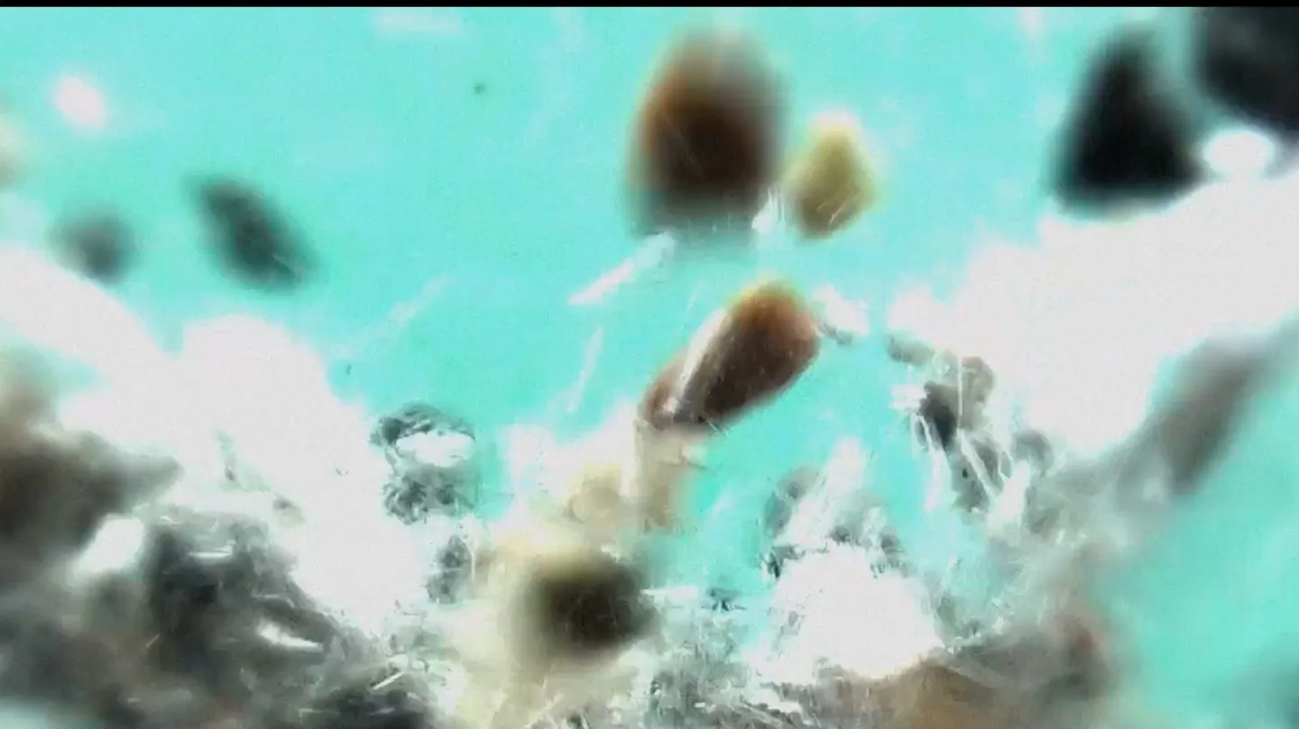 SUBMISSION by TAMED ARCHIVE