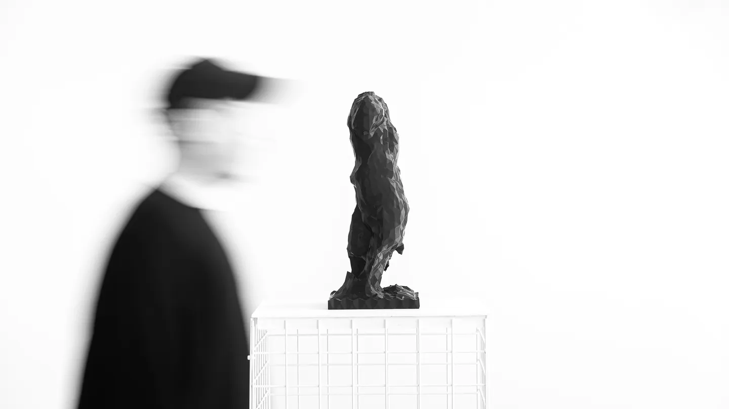 Acts of Data: Stones by Anže Sekelj