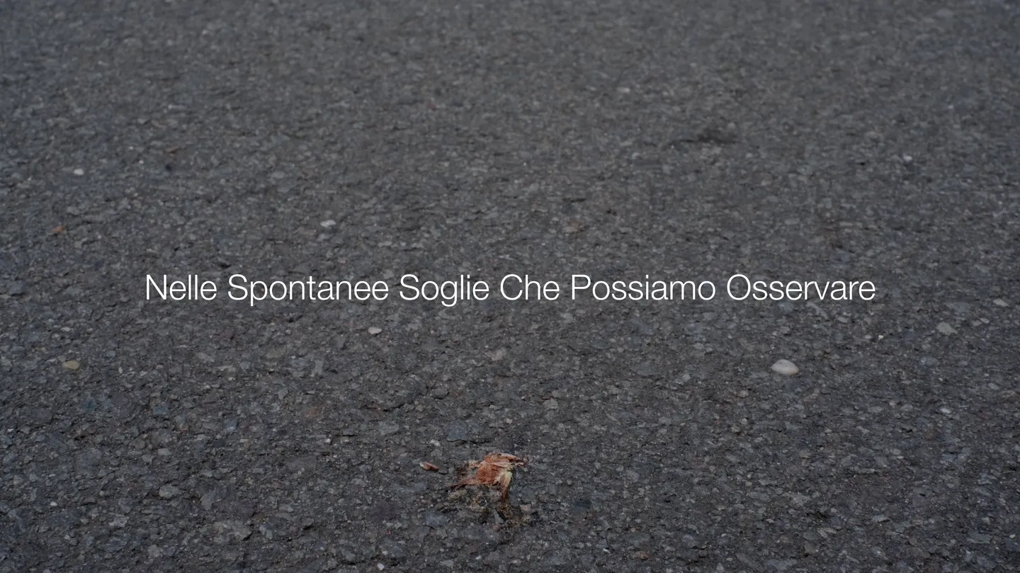 Where Nature Appears Spontaneously by Pierpaolo Grandinetti