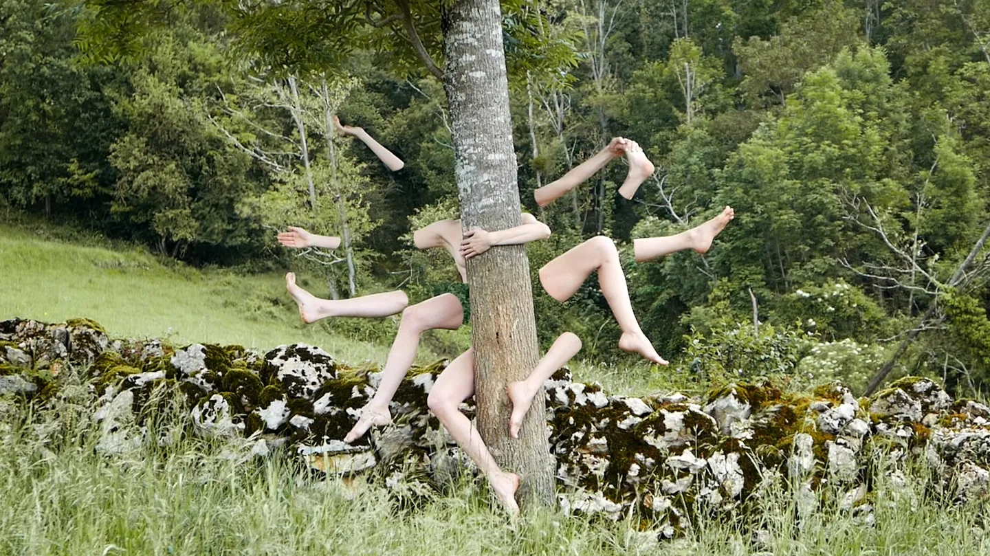 L'Arbre by lisaboostani