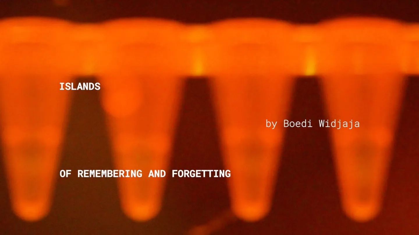 Islands of Remembering and Forgetting by Boedi Widjaja