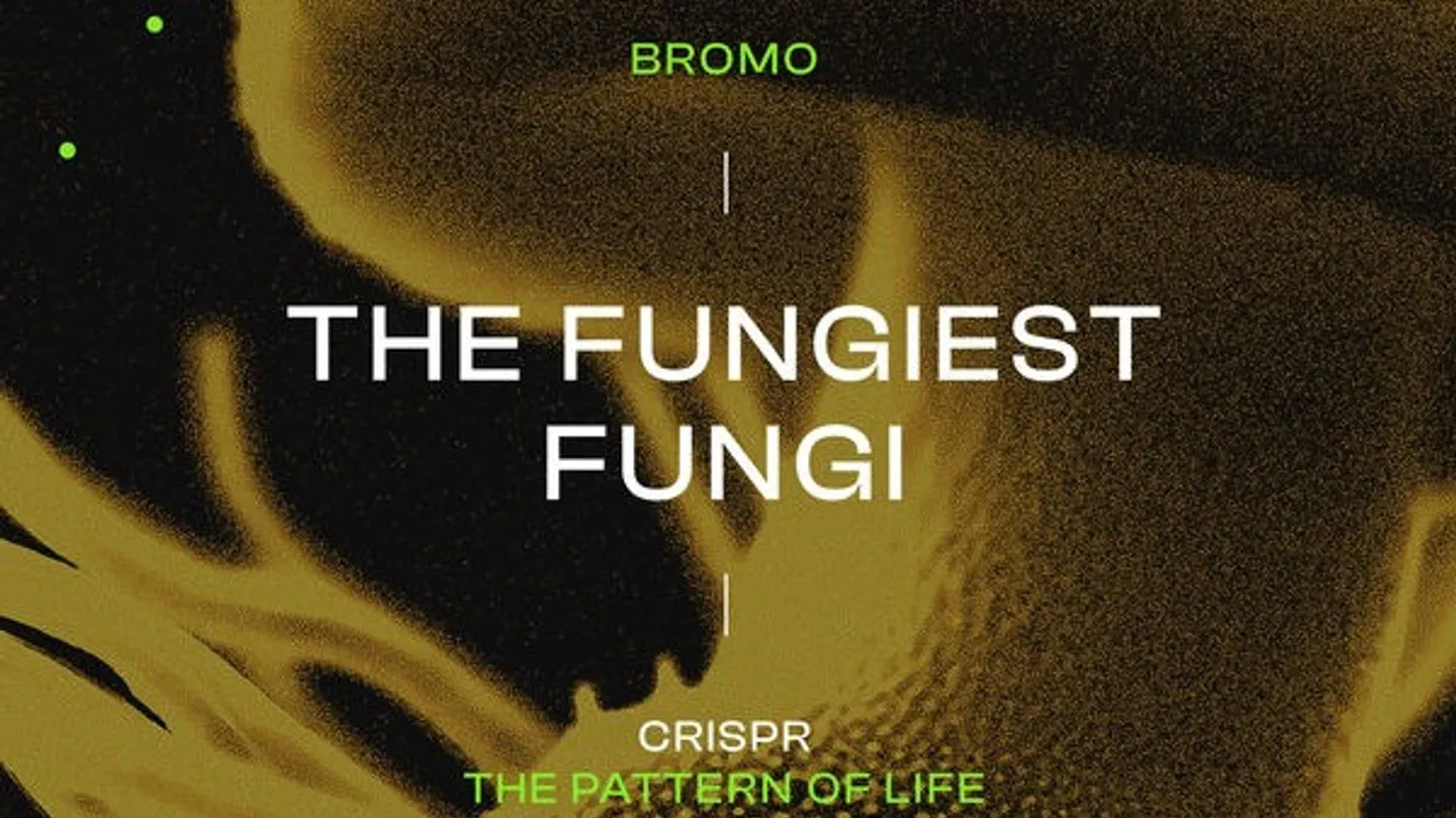 The Fungiest Fungi by Azael Ferrer