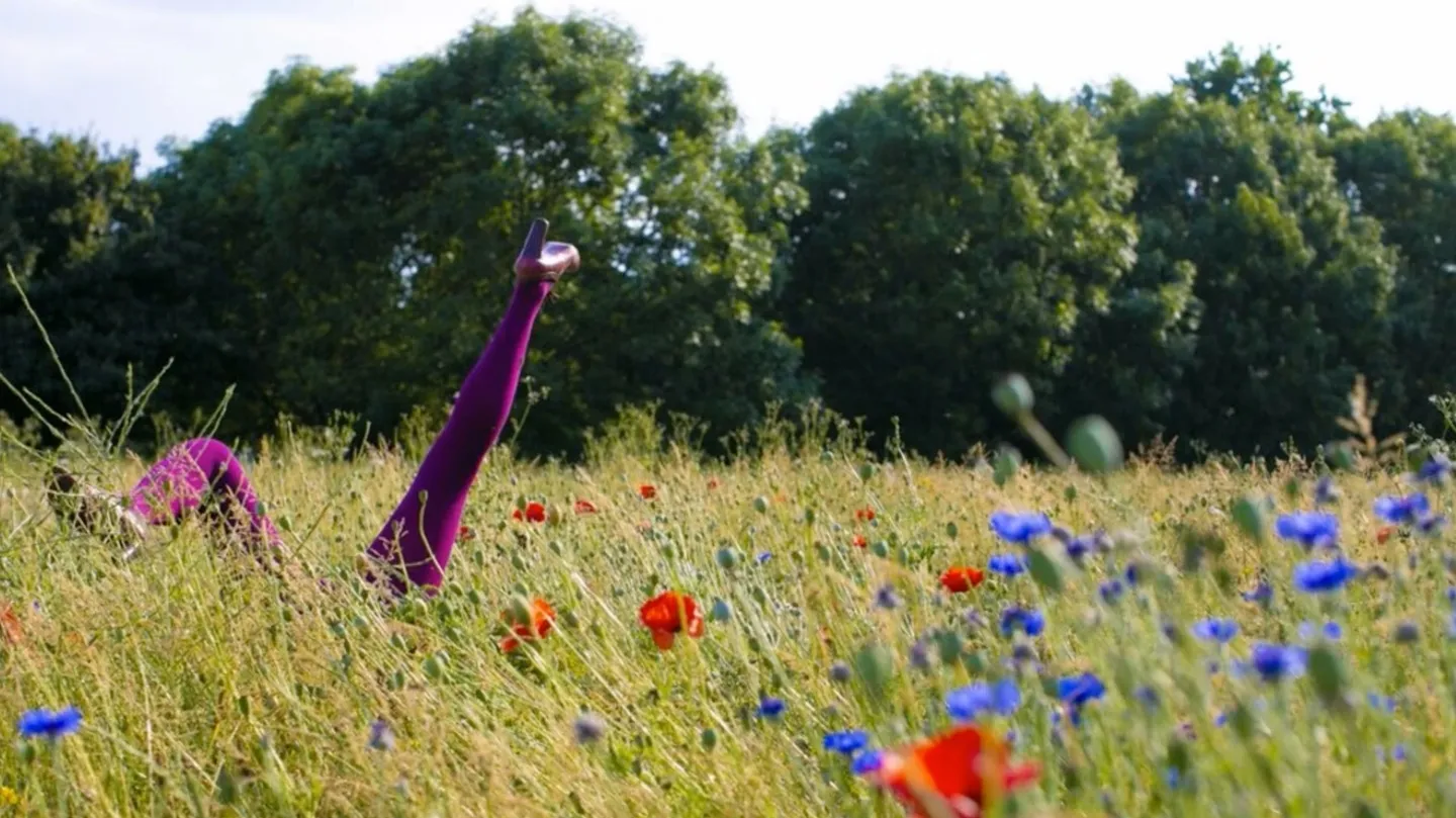 Meadow Fever by Jemima Burrill