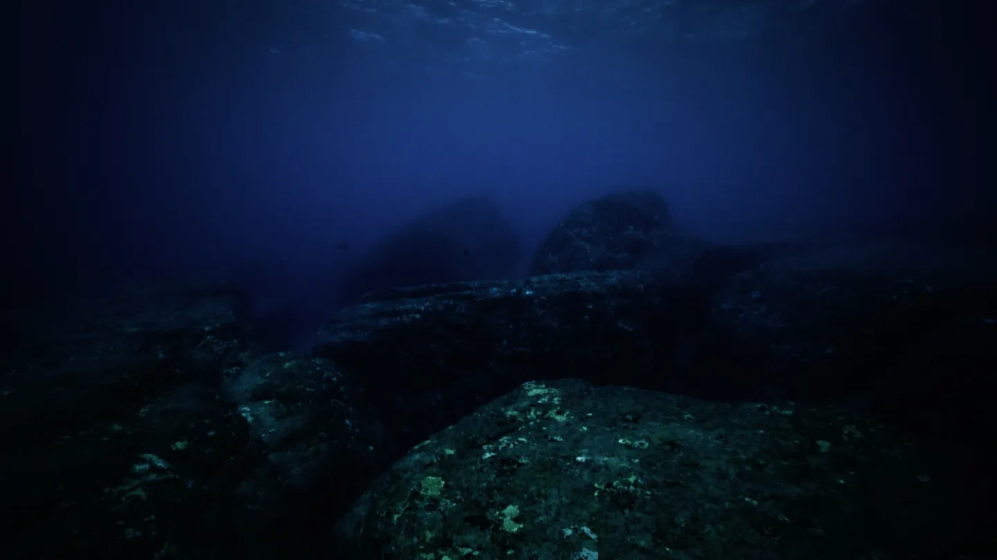 Zone Yonaguni  by Angelika Markul