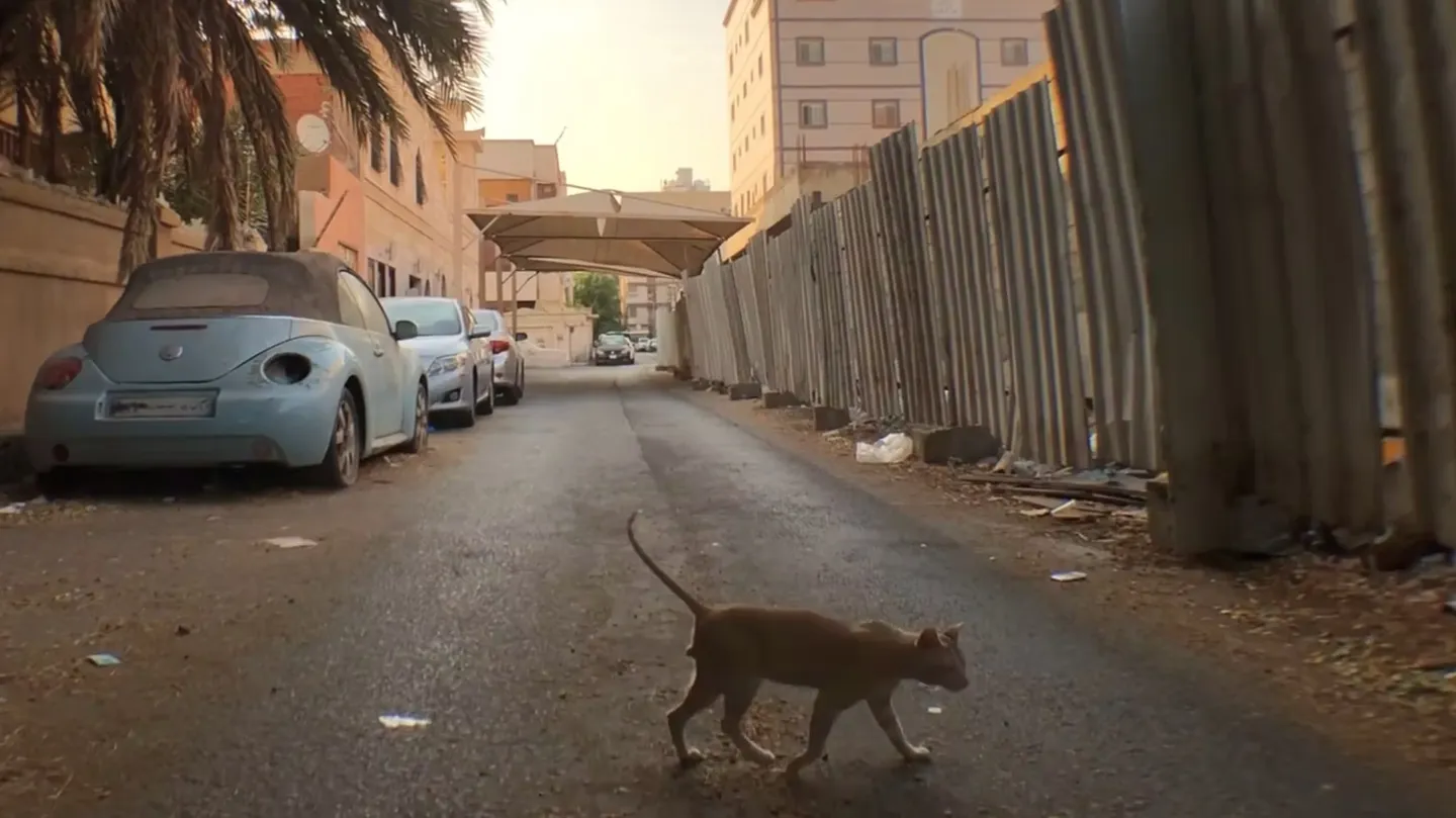 The Sleeping Sun Station محطة الشمس النائمة by Anhar Salem