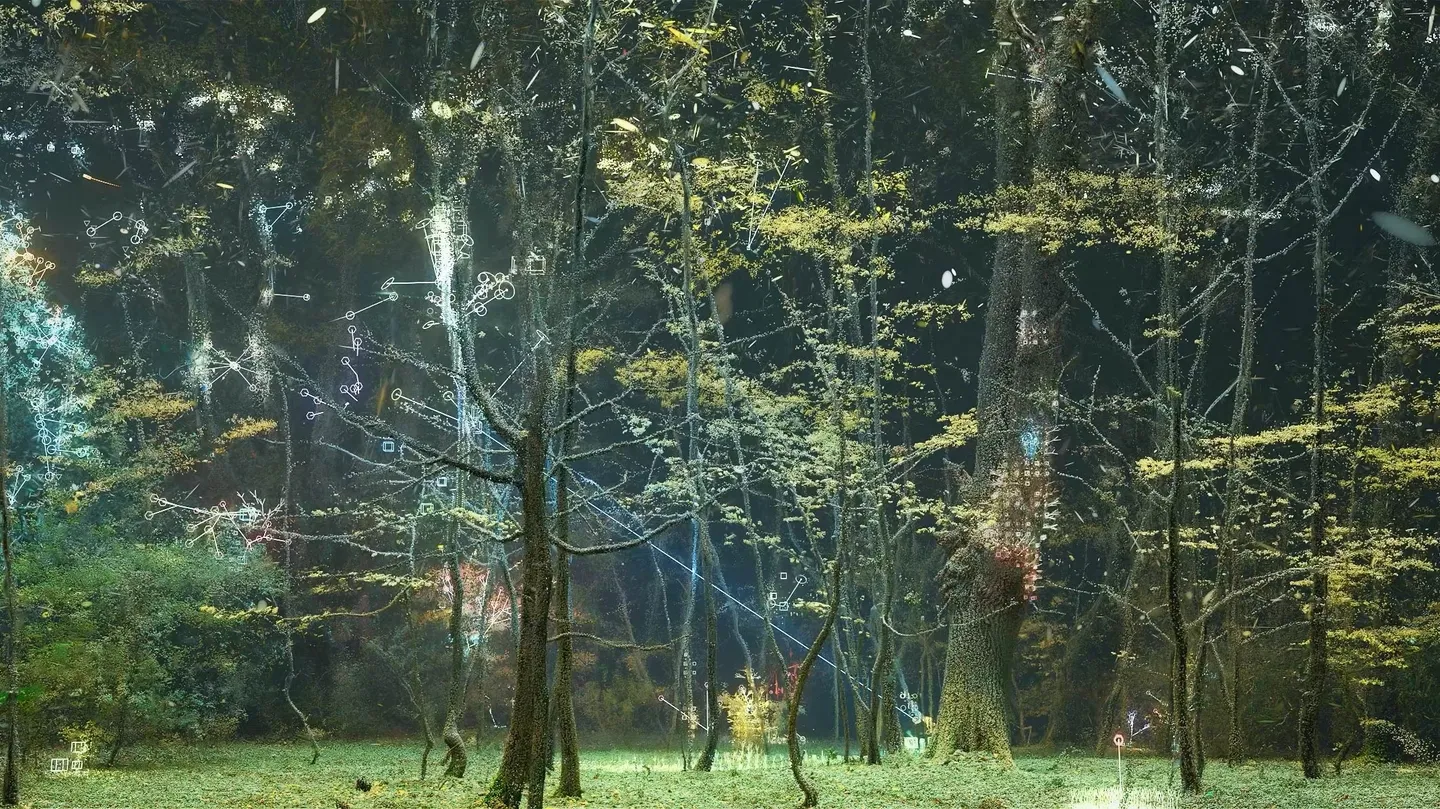 A Conversation Between Trees by Dan Hoopert