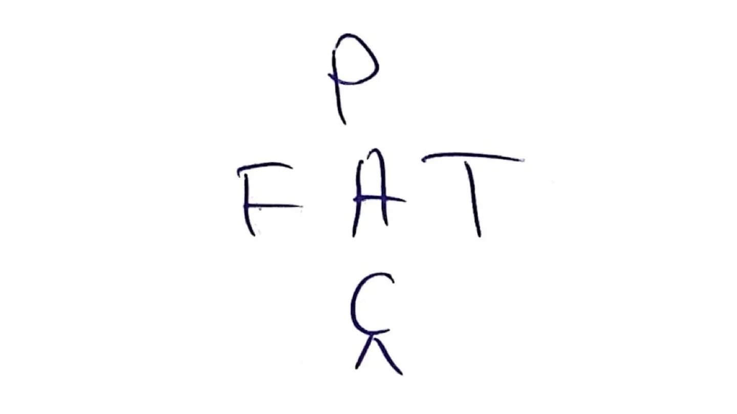 PAÇ FAT by Elsamina Musiq