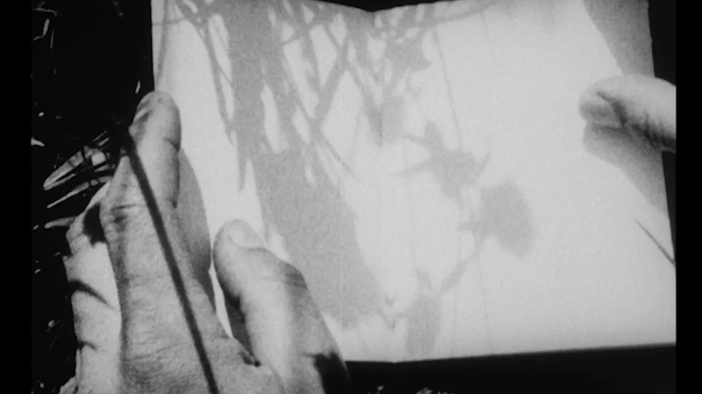 Messages by Guy Sherwin