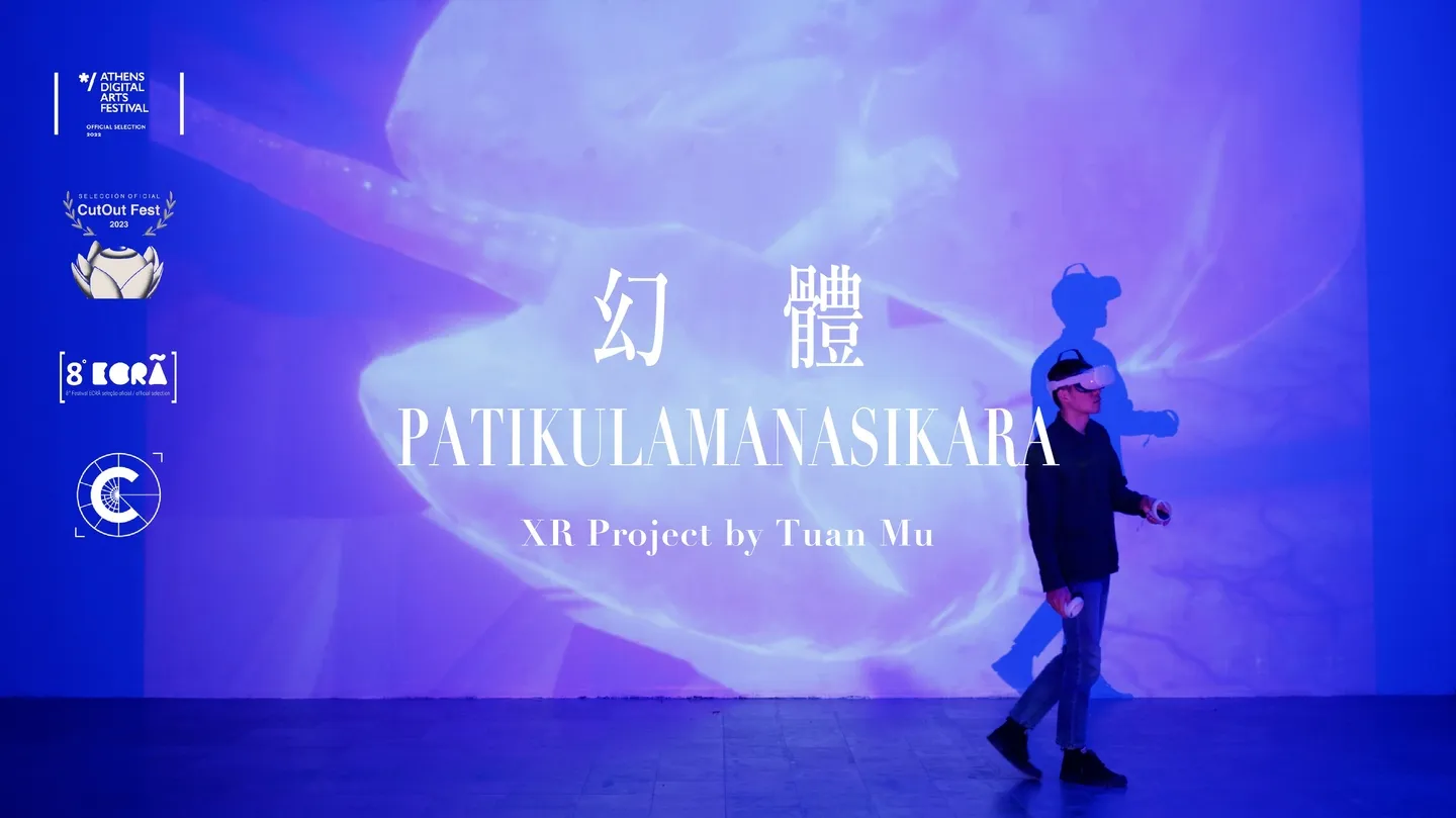 Patikulamanasikara by Tuan Mu