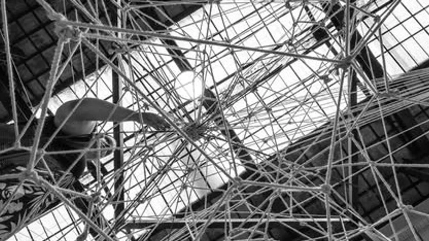 Tangled Ropes Groove by Isabella Corda