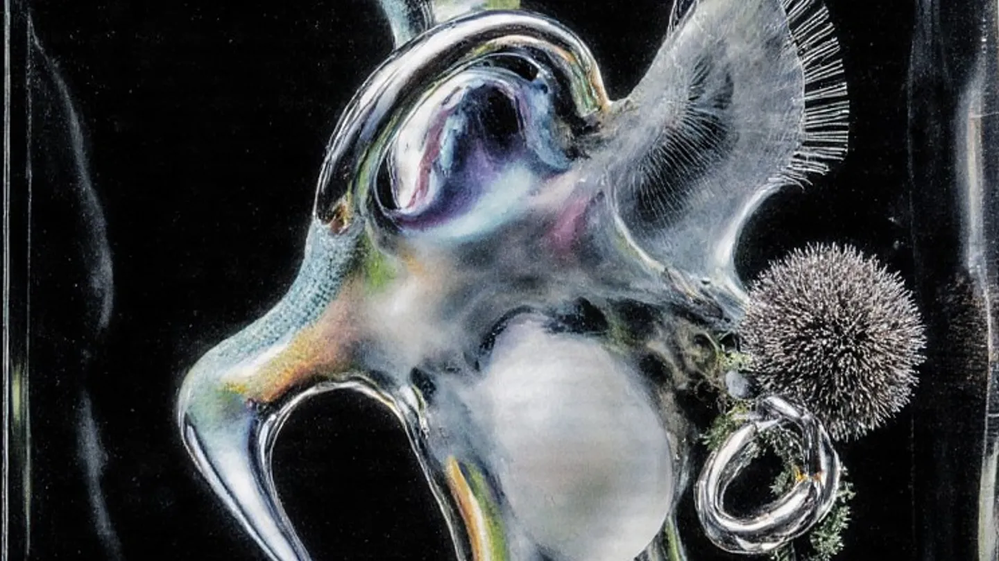 XYZ Sound Sculptures by Hef Prentice