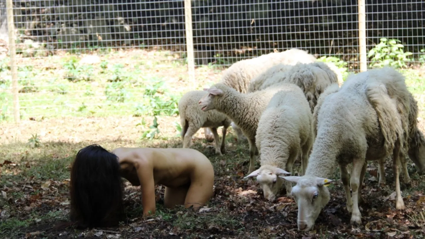 Oveja Negra by Regina José Galindo