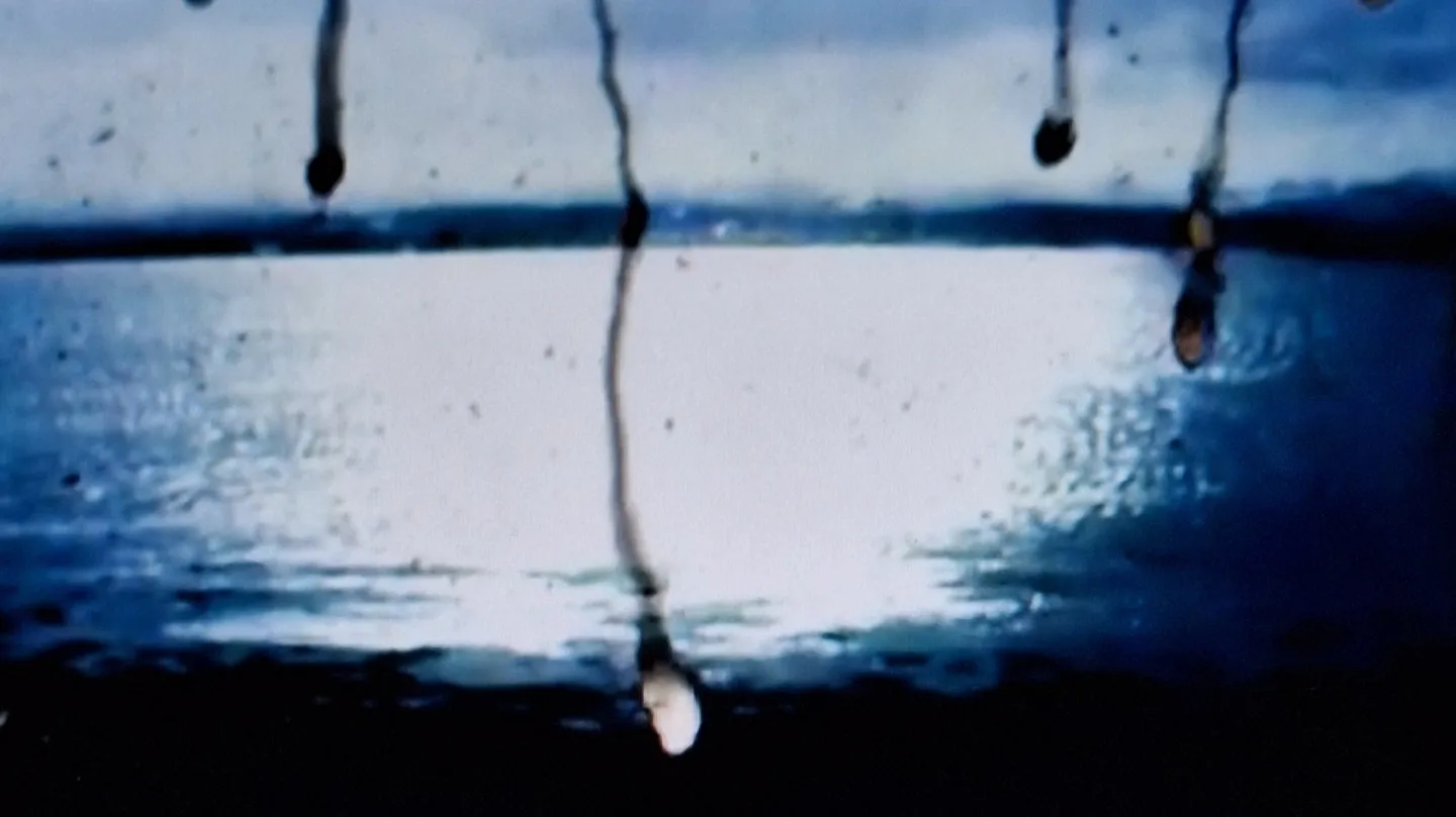 What is no longer. by Lucila Meirelles