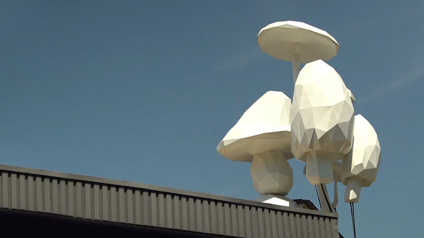 Hek, Basel 2023 by CIFRA TV