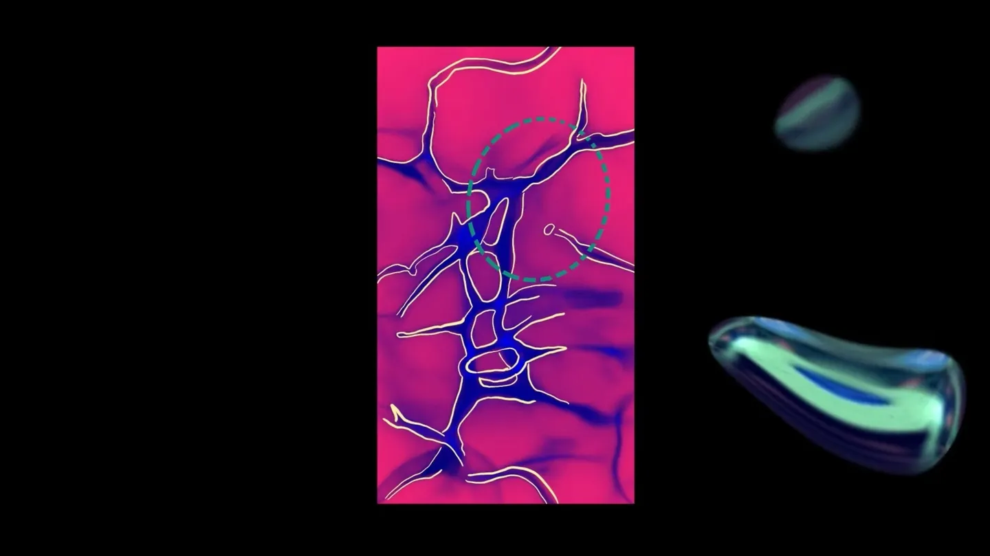 what is a home? by lyndsey marie gillespie de santana