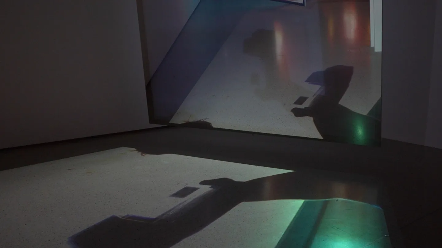 O suno by Amie Barouh