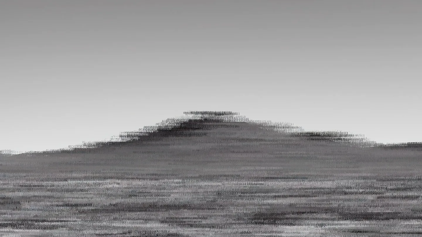 From binary to grayscale landscape by Helio Santos by Harddiskmuseum