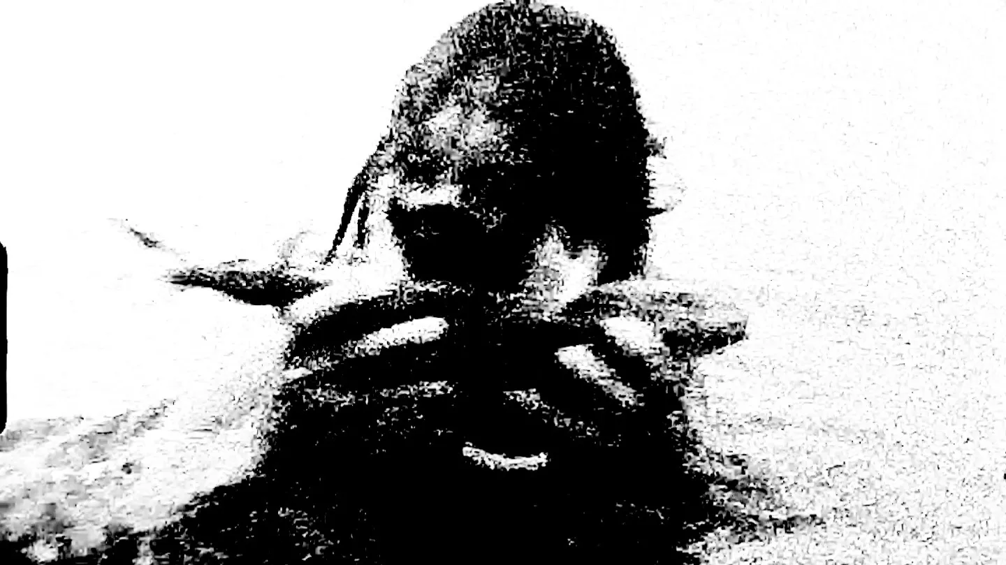 Algae by Celluloid Hermit