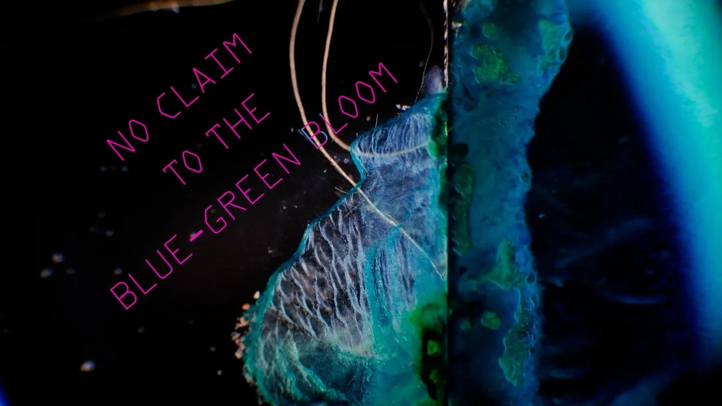 No Claim to the Blue-Green Bloom by Krista-Leigh Davis
