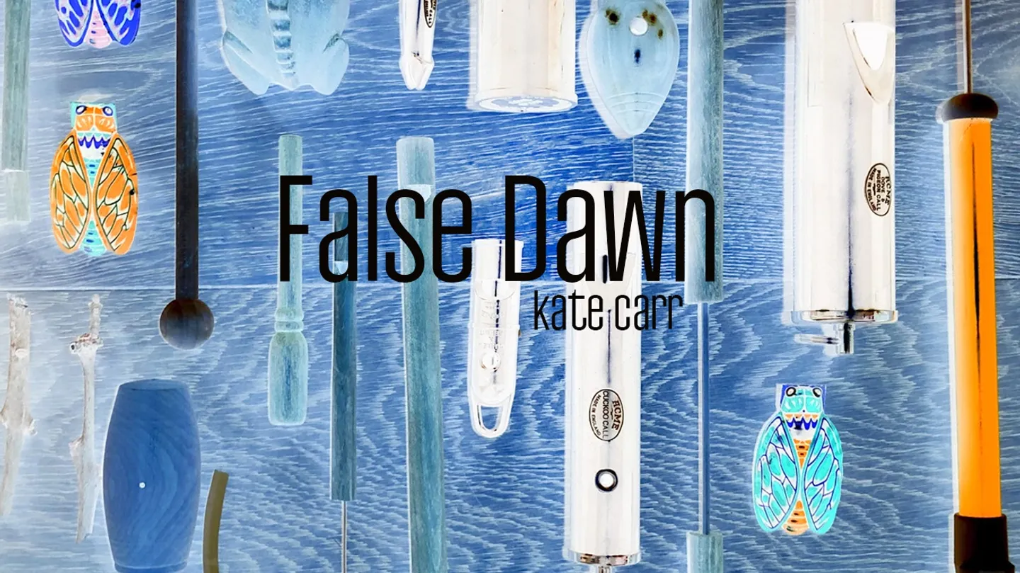 False Dawn by Kate Carr